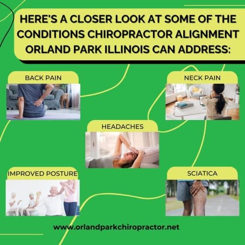 conditions chiropractor alignment orland park illinois can address